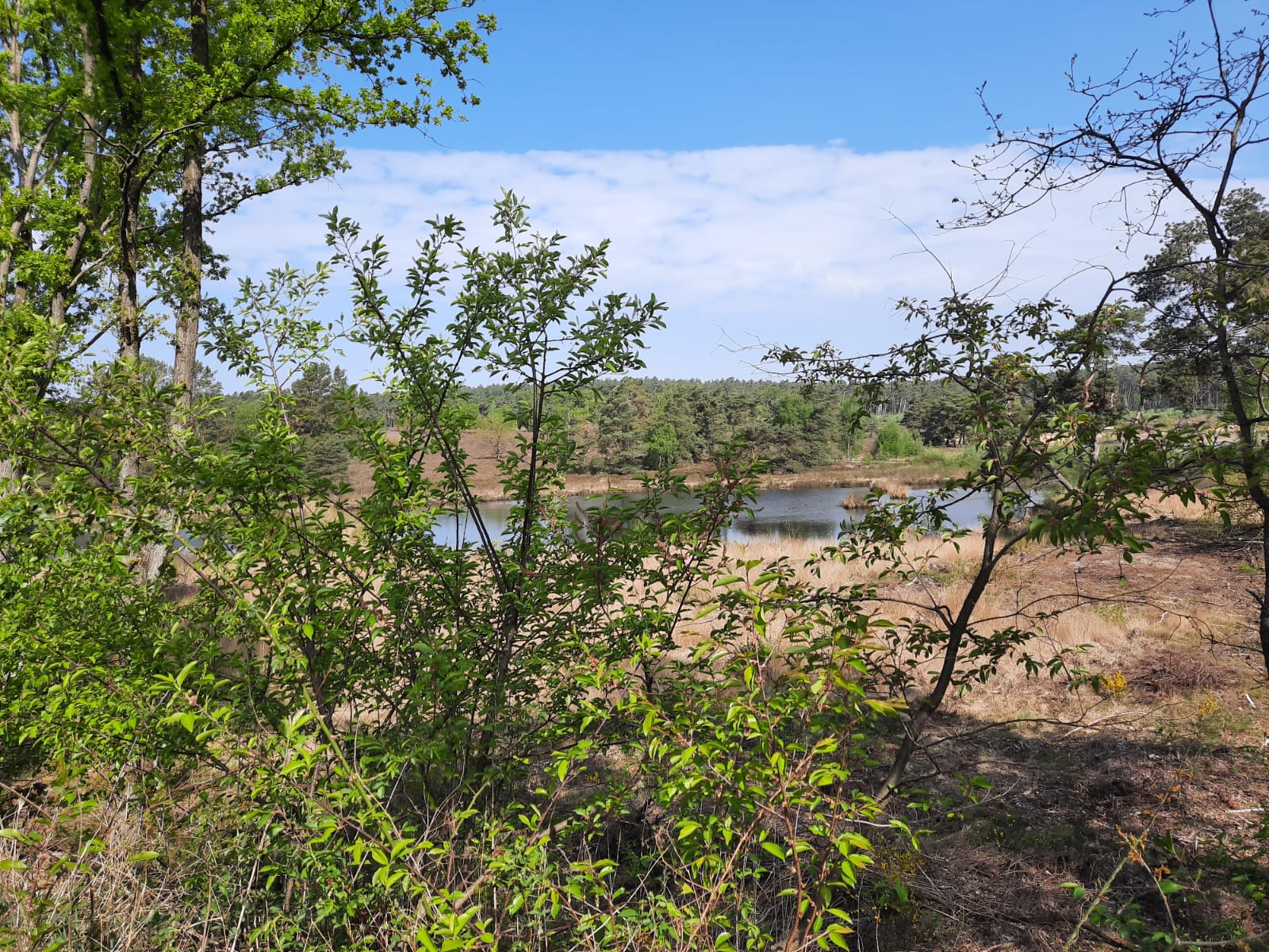 B&B Casa Roman - Sfeer & Omgeving